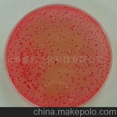 pH7.0氯化钠-蛋白胨缓冲液